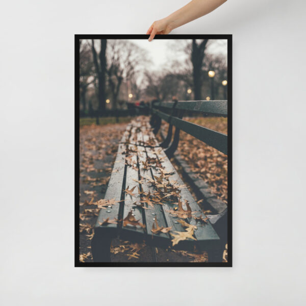 Central Park, New York City, United States Framed matte paper poster