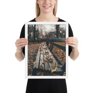 Central Park, New York City, United States Framed poster