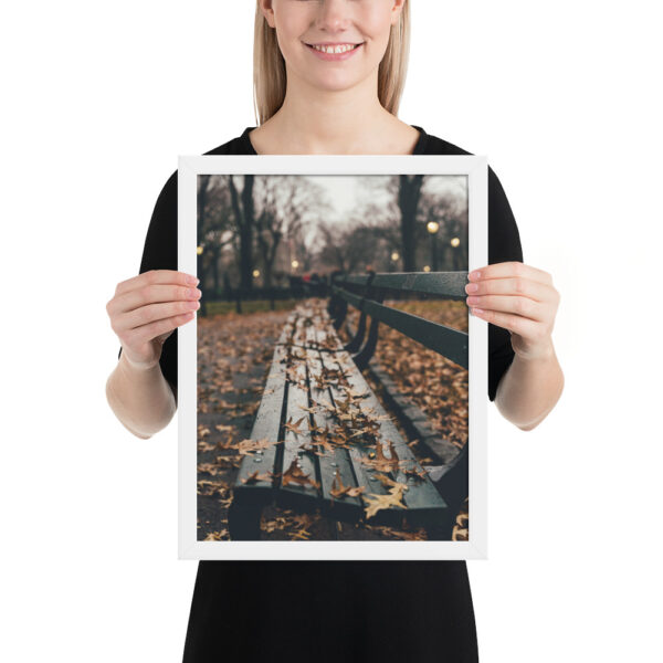 Central Park, New York City, United States Framed poster