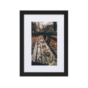 Central Park, New York City, United States Matte Paper Framed Poster With Matte Board