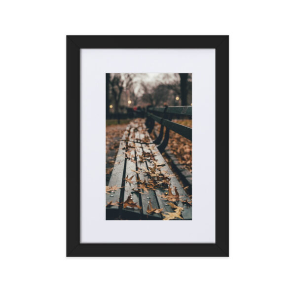 Central Park, New York City, United States Matte Paper Framed Poster With Matte Board