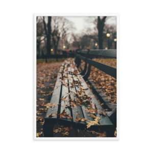Central Park, New York City, United States Framed photo paper poster