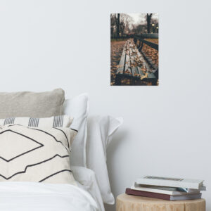 Central Park, New York City, United States Photo paper poster