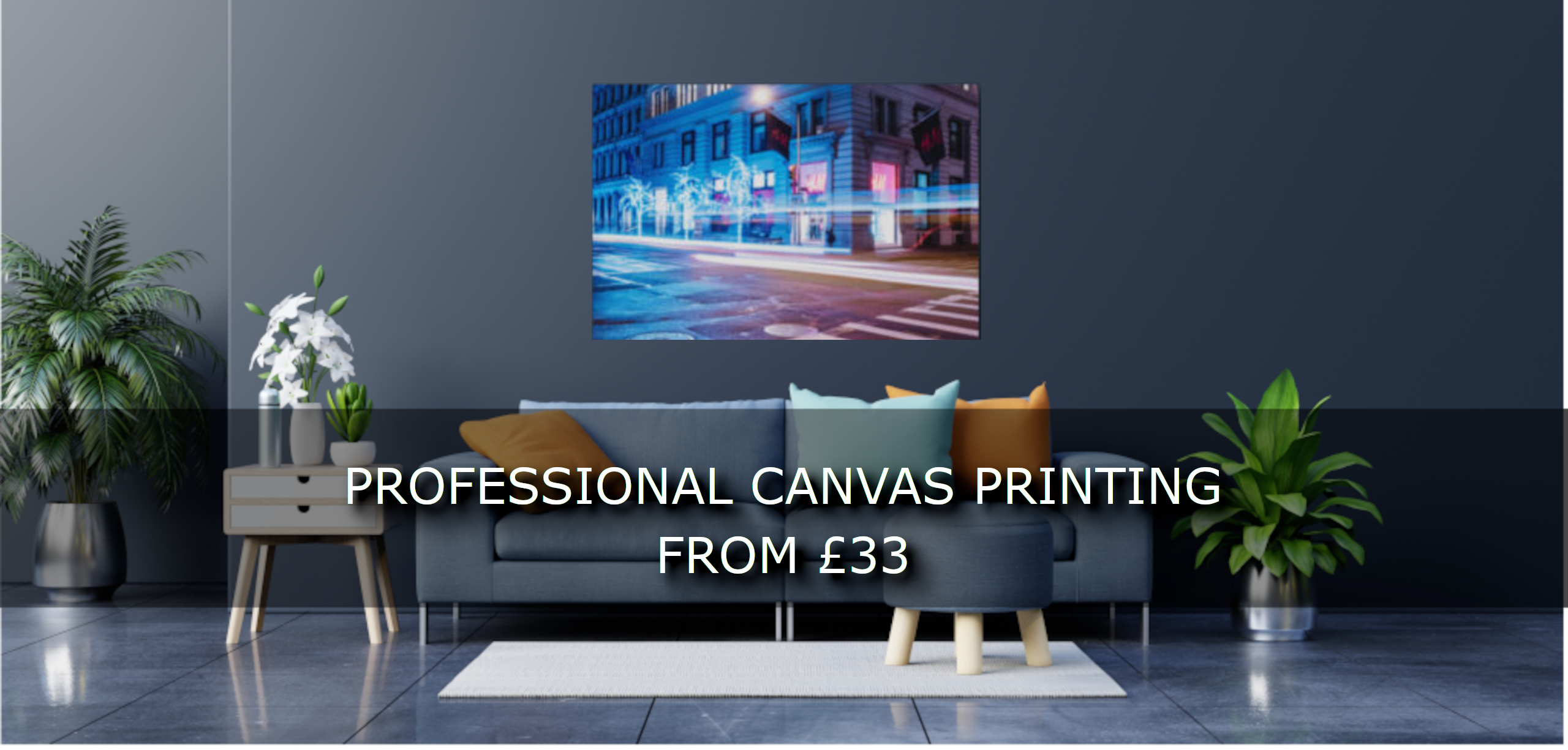 Canvas Shop Banner